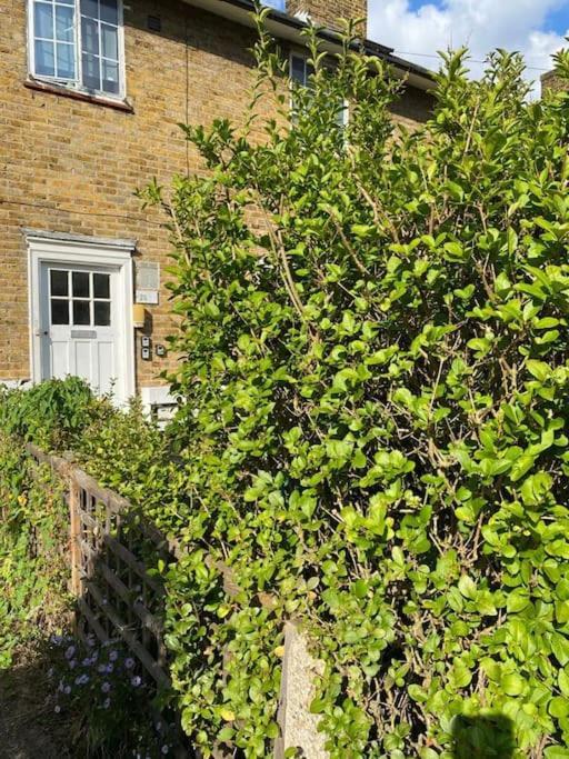 One Bedroom Putney Village Flat Лондон Екстер'єр фото
