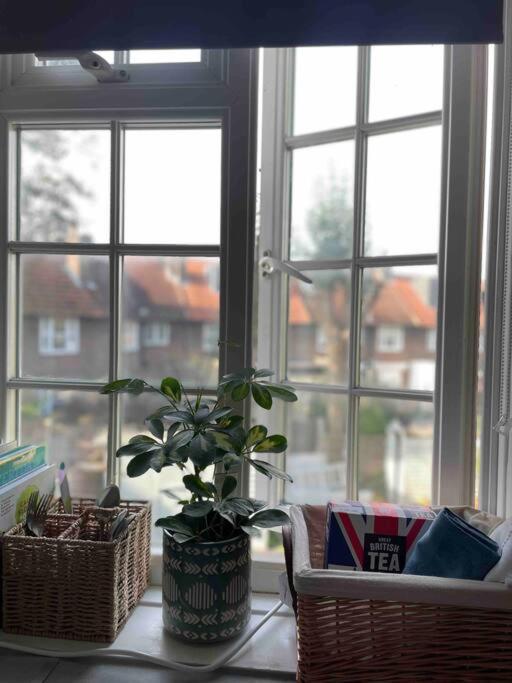One Bedroom Putney Village Flat Лондон Екстер'єр фото