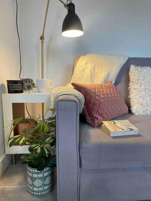 One Bedroom Putney Village Flat Лондон Екстер'єр фото